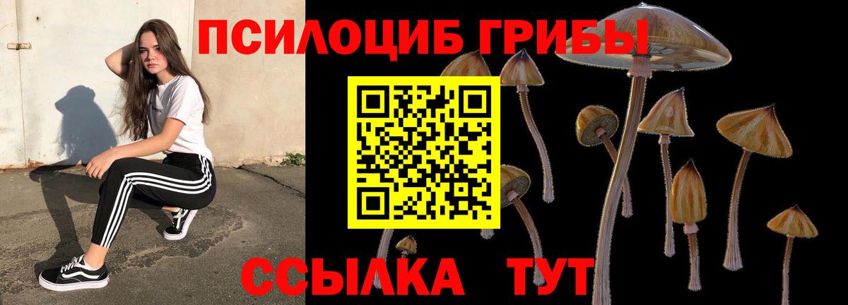 Псилоцибиновые грибы Psilocybine cubensis  Вход с VPN  наркота  Сухой Лог  Псилоцибиновые грибы мицелий 